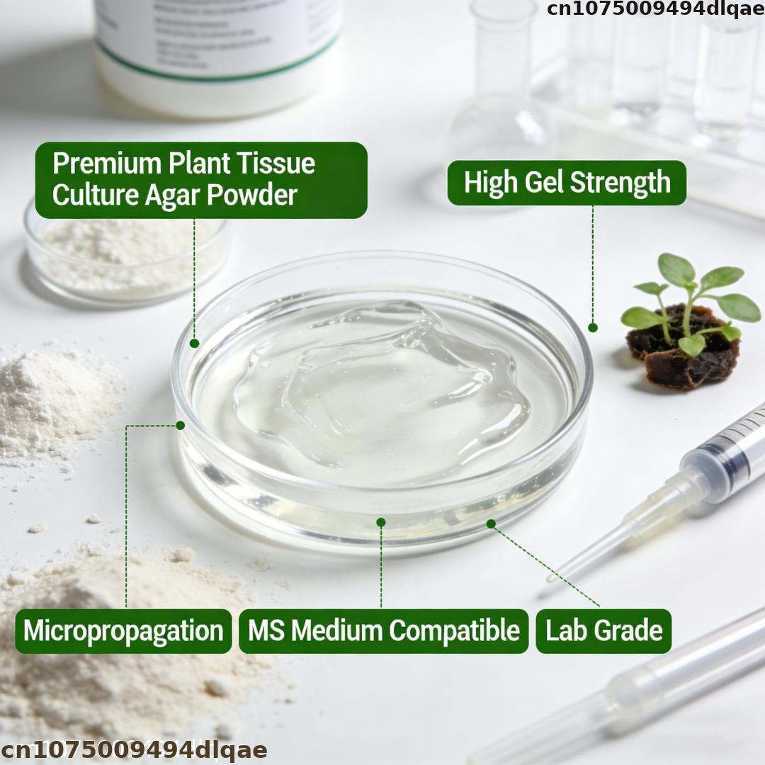 مسحوق الأجار لزراعة أنسجة النب - مراجعة Agar Tissue Culture وسعره